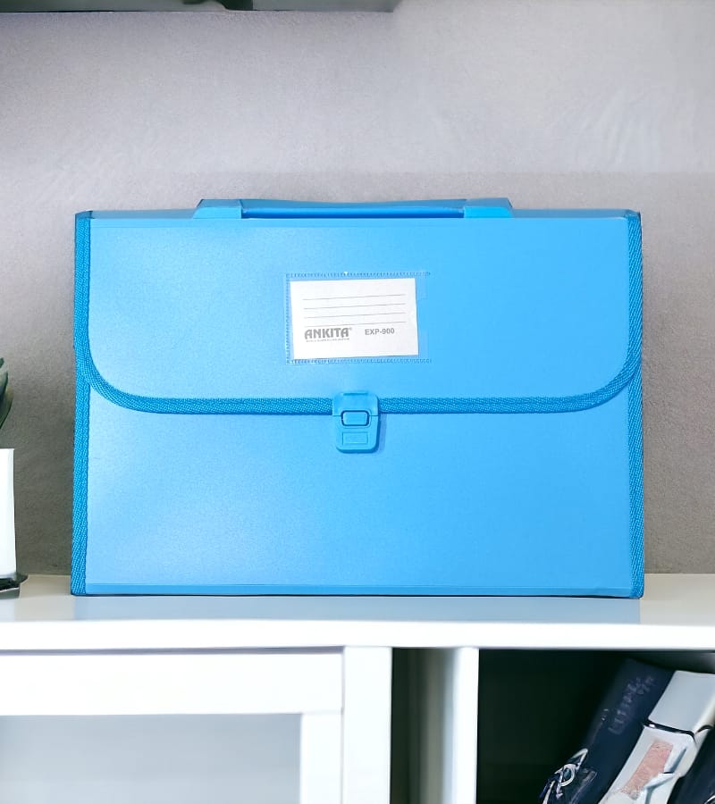 12-Pocket Expanding File Folder with Handle and Buckle Closure - Sky Blue| A4 Size Document Organizer